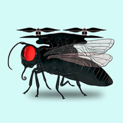 Insecteyesx299